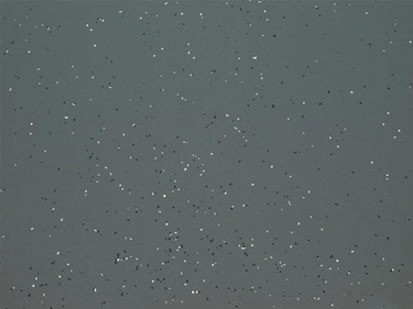 Static Solutions Terra-StatTM Floor Mat