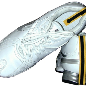 Transforming Technologies BFN802 Series Overhead Ionzier with Task Light