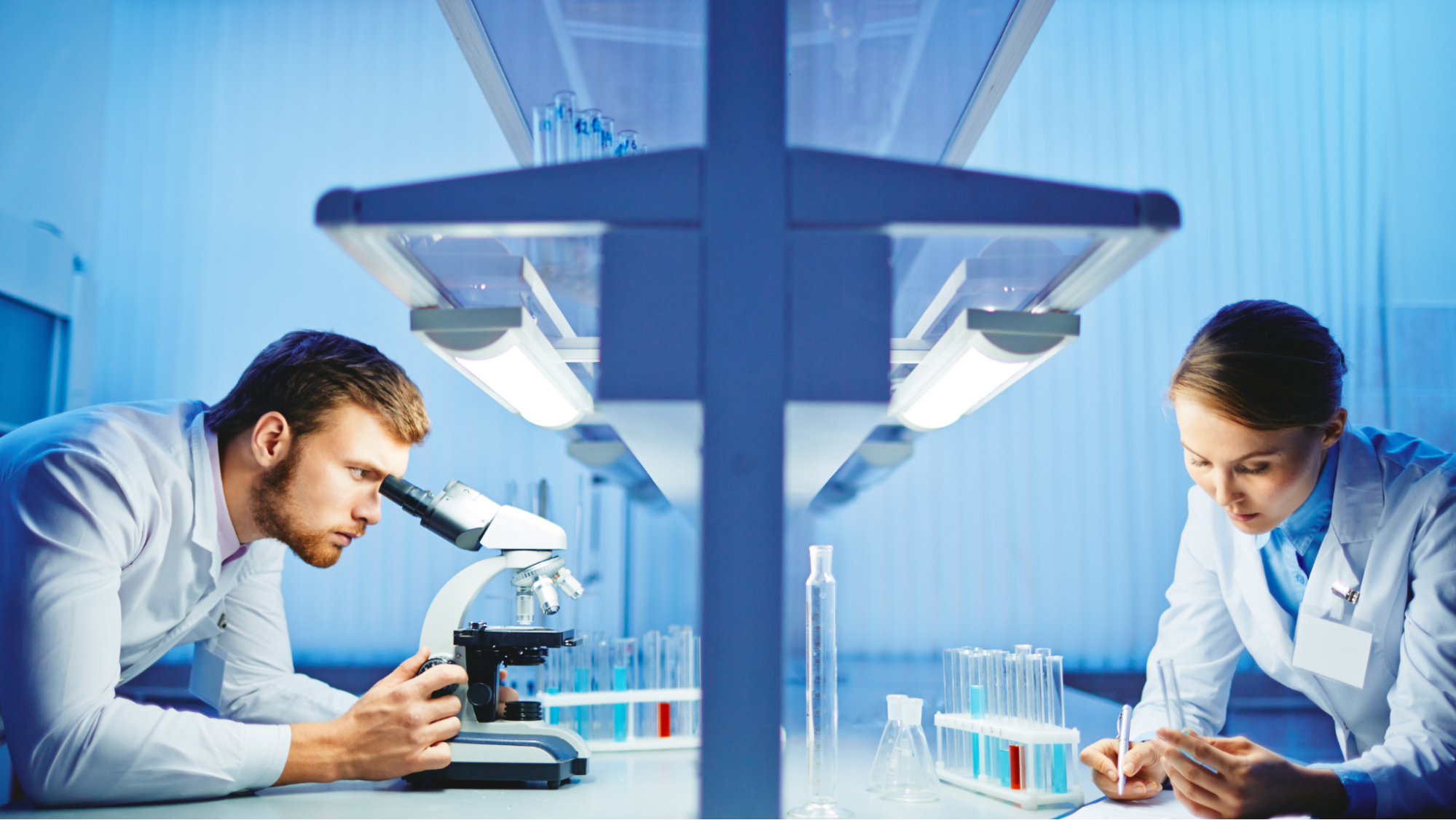 Sustainability in Workspace Design: How Custom Laboratory Furniture Reduces Waste